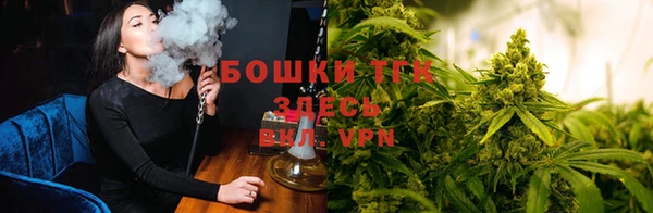 прущие грибы Абдулино