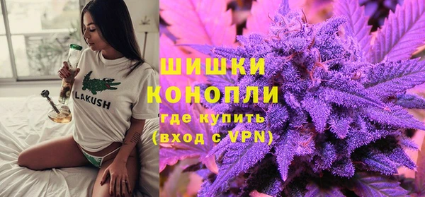 прущие грибы Абдулино