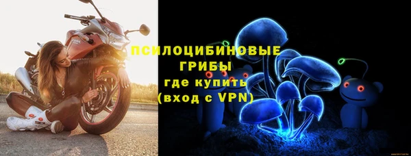 индика Абинск