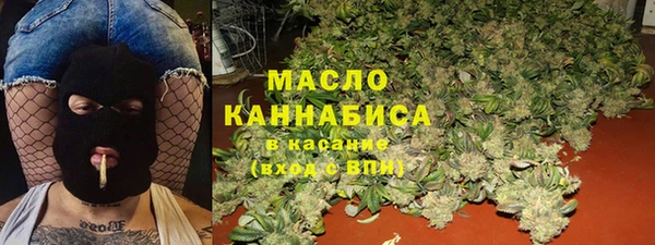 индика Абинск