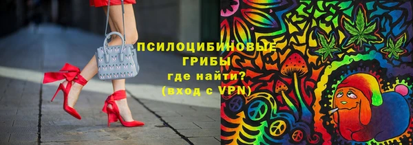 прущие грибы Абдулино