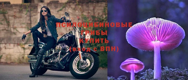 индика Абинск
