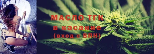 индика Абинск